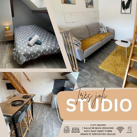 Superbe Studio A Proximite Du Centre-Ville Saint-Die-des-Vosges Dış mekan fotoğraf