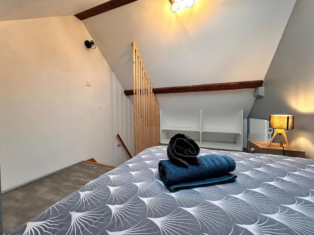 Superbe Studio A Proximite Du Centre-Ville Saint-Die-des-Vosges Dış mekan fotoğraf